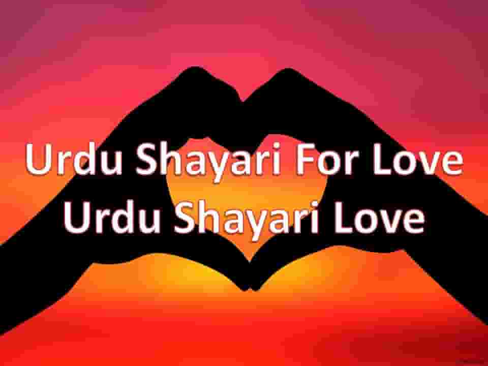 Urdu Shayari For Love