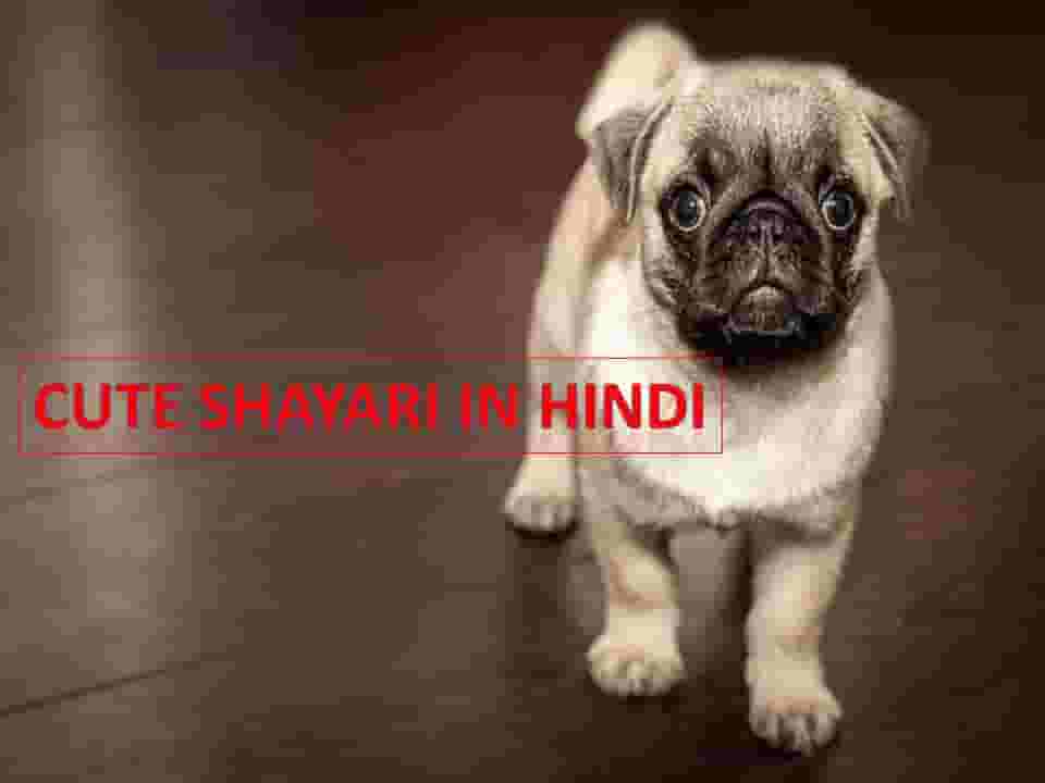 Cute Shayari in Hindi
